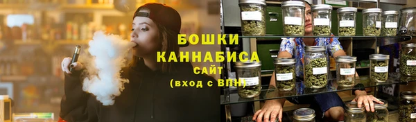 амф Бронницы