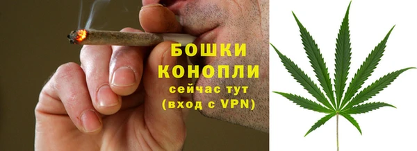 амф Бронницы
