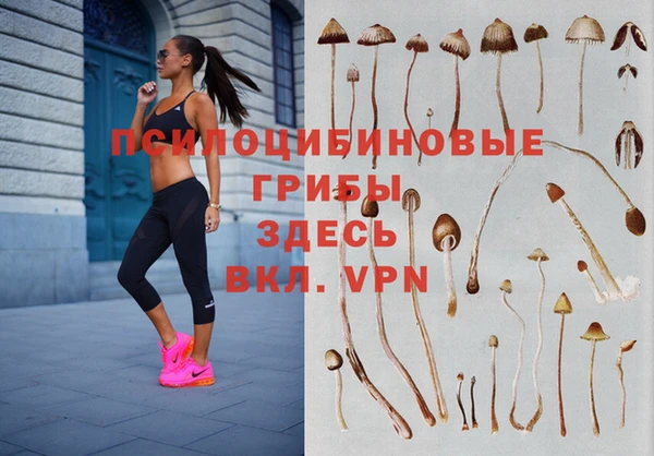 ешки Дмитриев
