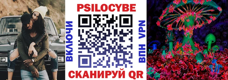 как найти закладки  Новосокольники  Псилоцибиновые грибы Magic Shrooms 